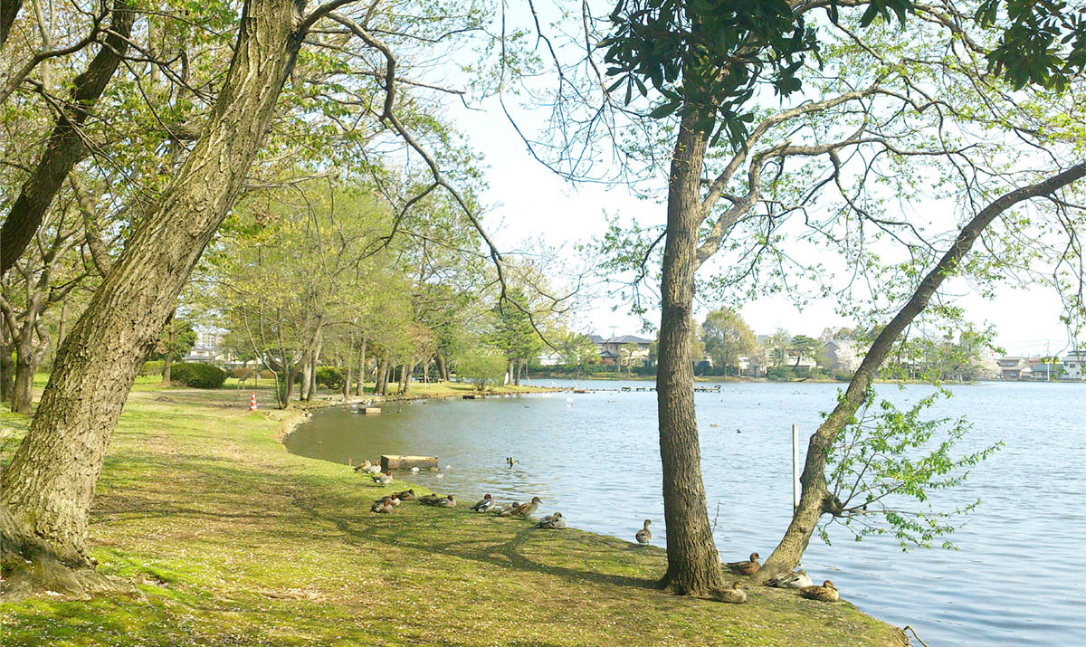 大塚池公園