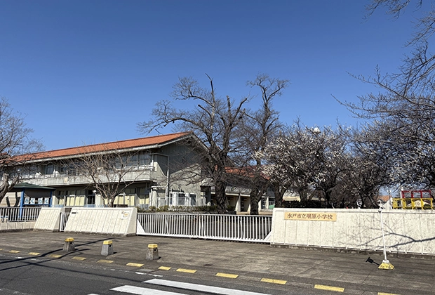 堀越小学校